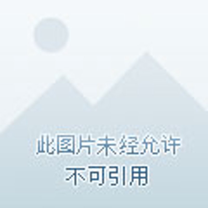 临海蔬菜种植