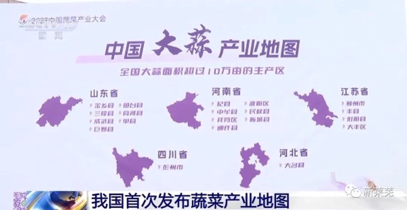在临海，如何找到最适合你的果蔬批发商？